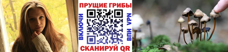 Галлюциногенные грибы Magic Shrooms  ссылка на мегу ONION  Полярные Зори 